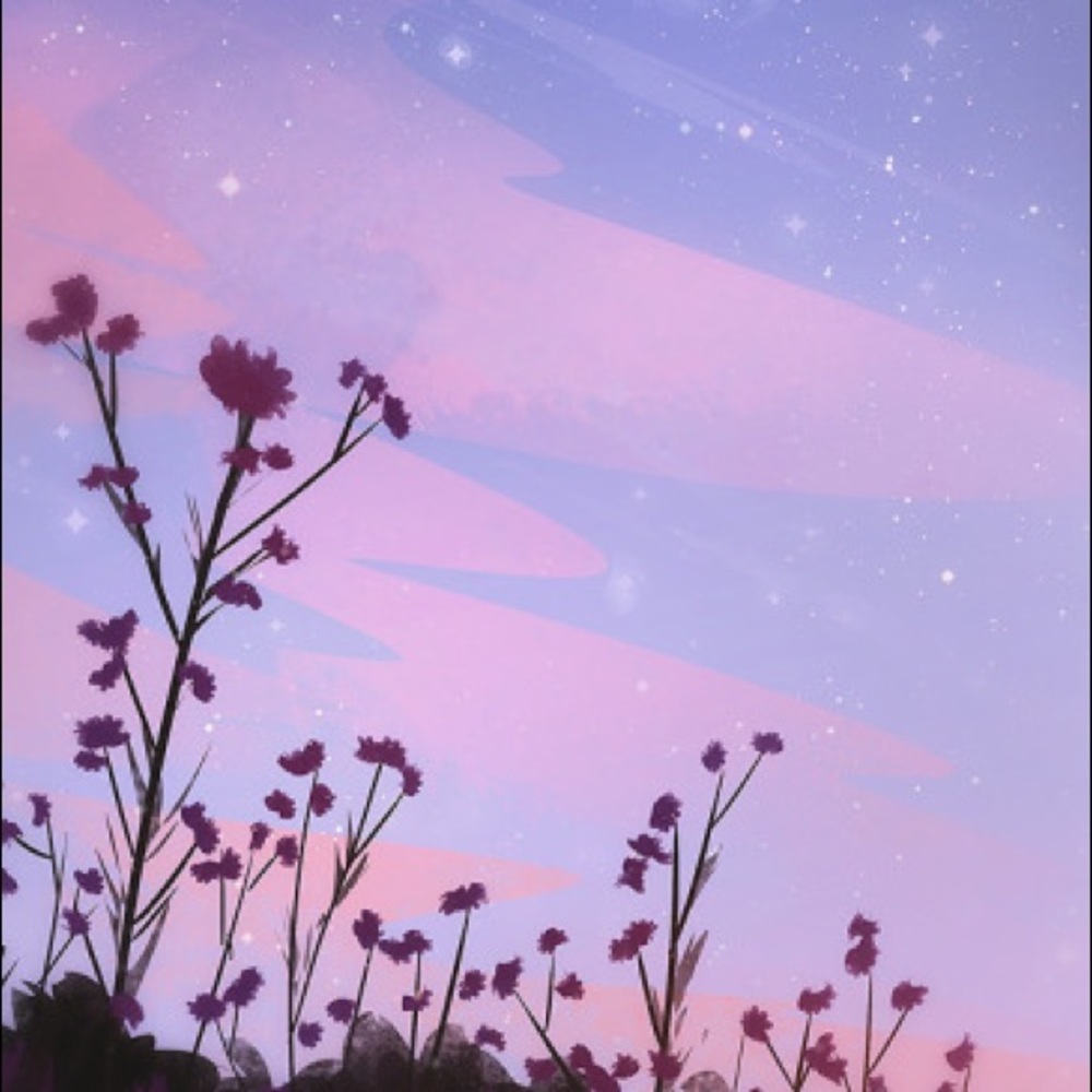 Meet your Posher, Jakayla